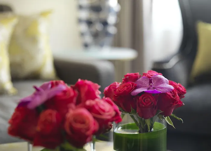 Continental Осло